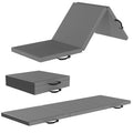 Tri-fold exercise mat with carry handle (light)